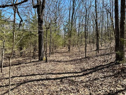 Recreational Property for sale in Faulkner County, Arkansas