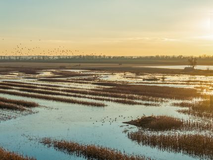 Property for sale in Carroll County, Missouri