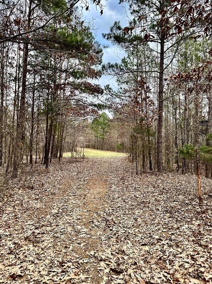 Property for sale in Benton County, Mississippi