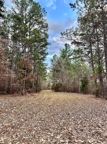 Undeveloped Land for sale in Benton County, Mississippi