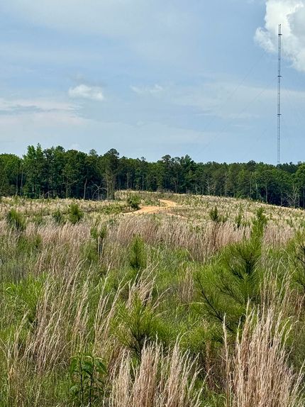 Undeveloped Land for sale in Winston County, Mississippi