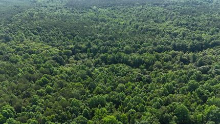 Undeveloped Land for sale in Itawamba County, Mississippi