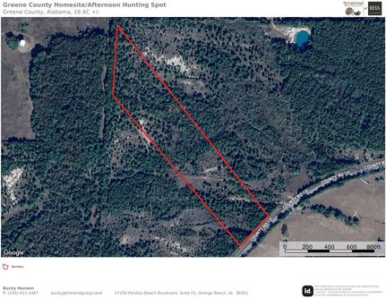 Hunting Land for sale in Greene County, Alabama
