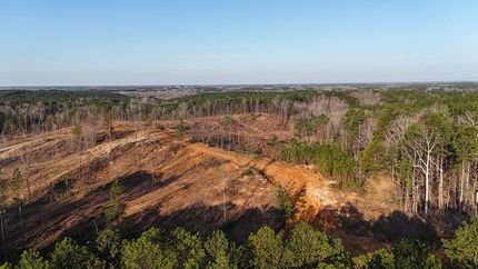 Undeveloped Land for sale in Prentiss County, Mississippi