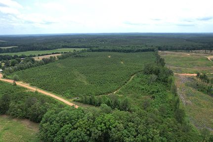 Undeveloped Land for sale in Grenada County, Mississippi