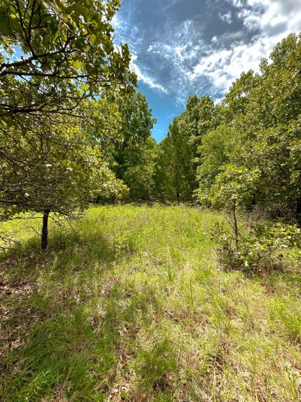 Timberland Property for sale in Pottawatomie County, Oklahoma
