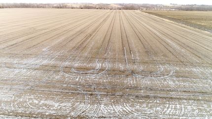 Farm Property for sale in Taylor County, Iowa