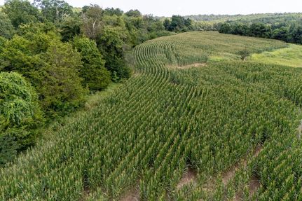 Farm Property for sale in Union County, Illinois