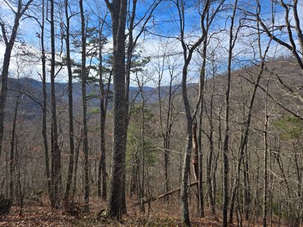 Residential Property for sale in Jackson County, North Carolina