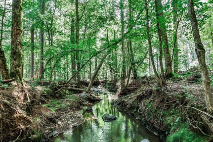 Hunting Land for sale in Jasper County, Georgia