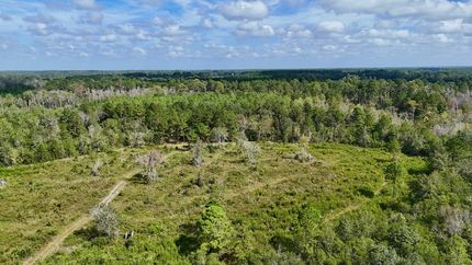 Undeveloped Land for sale in Pierce County, Georgia