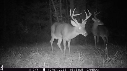 Farm Property for sale in Butler County, Alabama