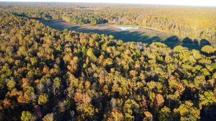Property for sale in Ripley County, Missouri