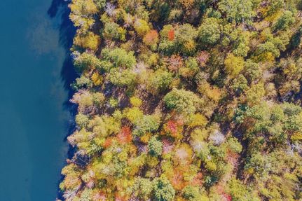 Recreational Property for sale in Morrison County, Minnesota