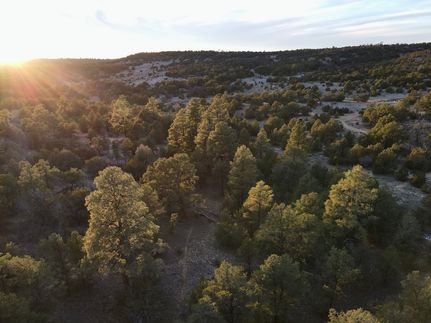 Property for sale in Cibola County, New Mexico