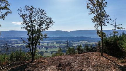 Undeveloped Land for sale in Sequatchie County, Tennessee