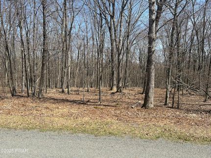 Undeveloped Land for sale in Pike County, Pennsylvania