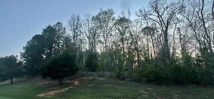 Undeveloped Land for sale in Greenwood County, South Carolina
