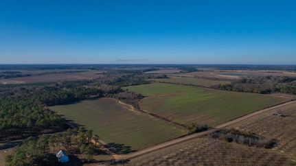 Undeveloped Land for sale in Mitchell County, Georgia