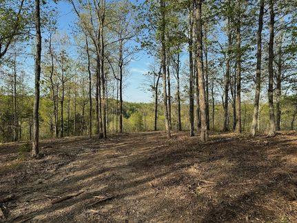 Property for sale in Perry County, Tennessee