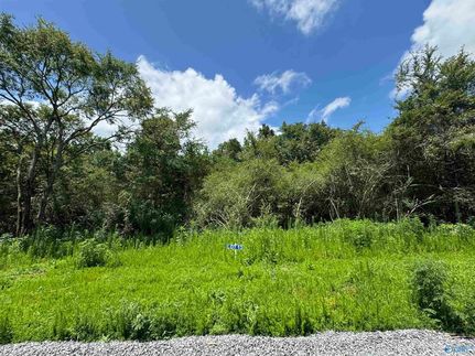 Property for sale in Marshall County, Alabama