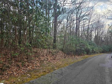 Undeveloped Land for sale in Greenville County, South Carolina