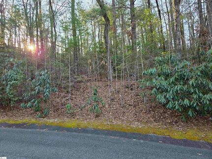 Undeveloped Land for sale in Greenville County, South Carolina