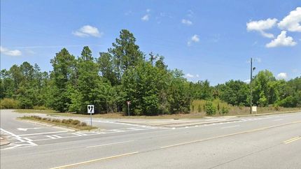 Undeveloped Land for sale in Liberty County, Georgia