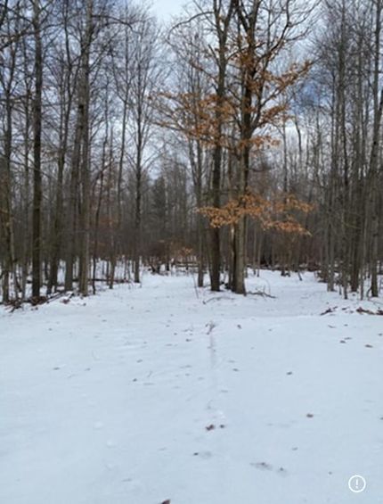 Undeveloped Land for sale in Berrien County, Michigan