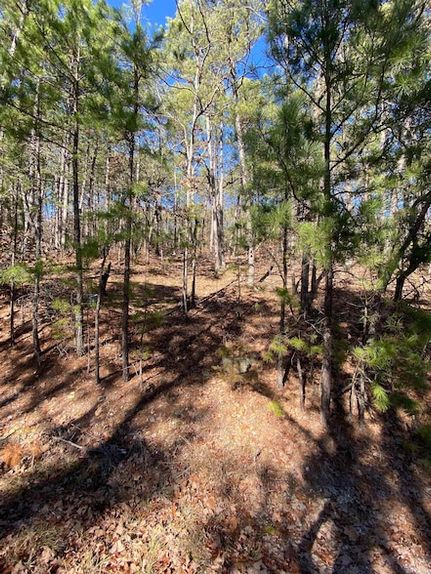 Undeveloped Land for sale in Saline County, Arkansas