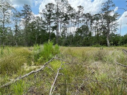 Undeveloped Land for sale in Saint Tammany Parish, Louisiana