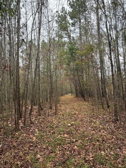 Recreational Property for sale in Clarke County, Mississippi