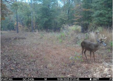 Ranch Property for sale in Macon County, Georgia