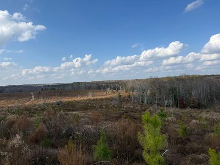 Property for sale in Macon County, Georgia