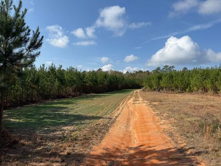 Recreational Property for sale in Marion County, Georgia