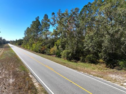 Hunting Land for sale in Brantley County, Georgia
