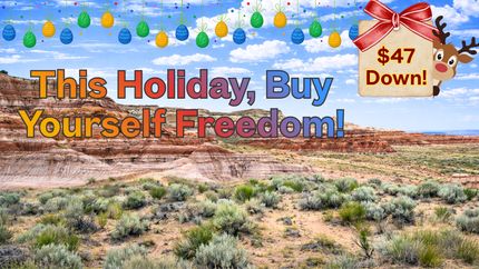 Undeveloped Land for sale in Apache County, Arizona