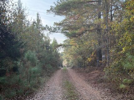 Timberland Property for sale in Webster County, Georgia