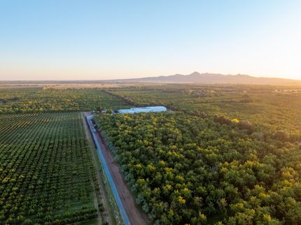 Farm Property for sale in Butte County, California