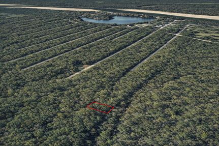 Undeveloped Land for sale in Liberty County, Texas