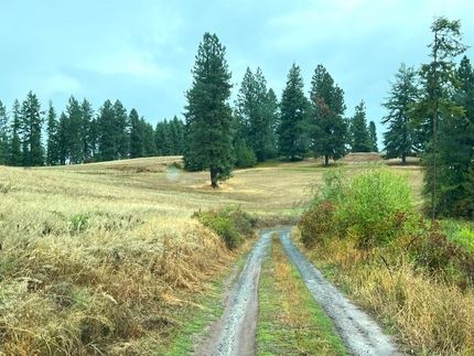 Farm Property for sale in Clearwater County, Idaho