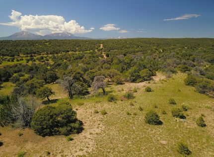 Timberland Property for sale in Huerfano County, Colorado
