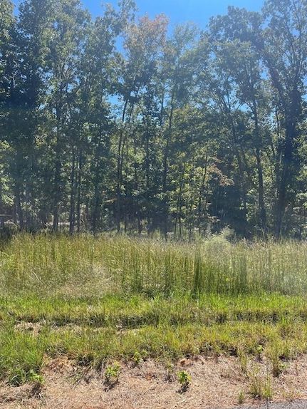 Undeveloped Land for sale in Carroll County, Tennessee