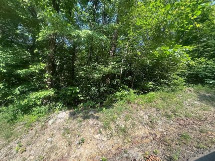 Undeveloped Land for sale in Clay County, Tennessee