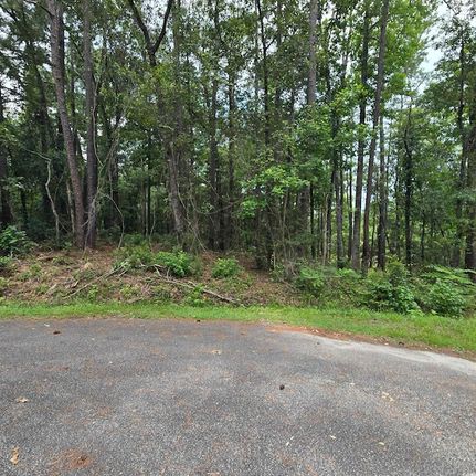 Undeveloped Land for sale in Horry County, South Carolina