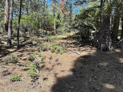 Property for sale in Colfax County, New Mexico