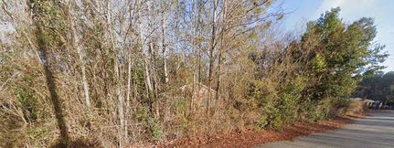 Undeveloped Land for sale in Dillon County, South Carolina