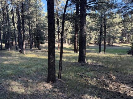 Property for sale in Colfax County, New Mexico