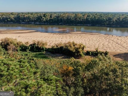Lakefront Property for sale in Appling County, Georgia