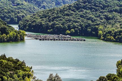 Undeveloped Land for sale in DeKalb County, Tennessee